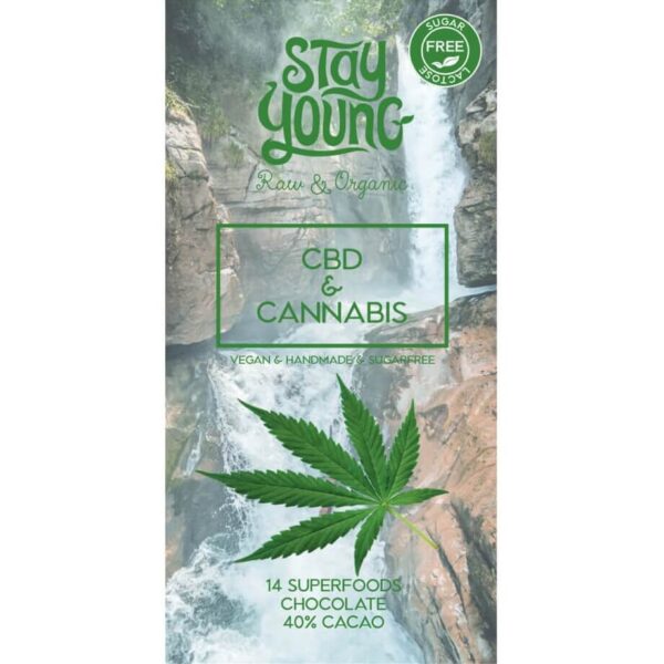 Sugar free raw chocolate with hemp oil 44g