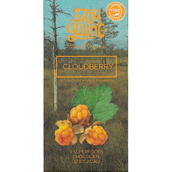 Sugar free raw chocolate with blackberries 44g