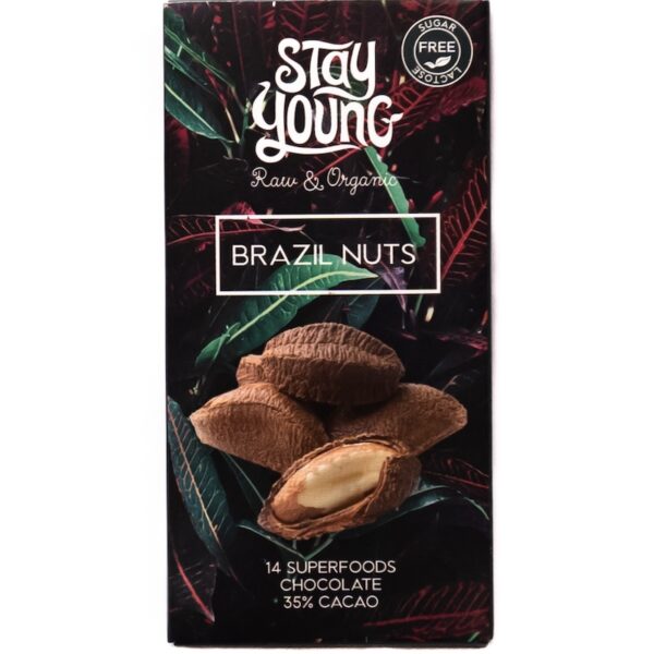 Sugar free raw chocolate with Brazil nuts 44g
